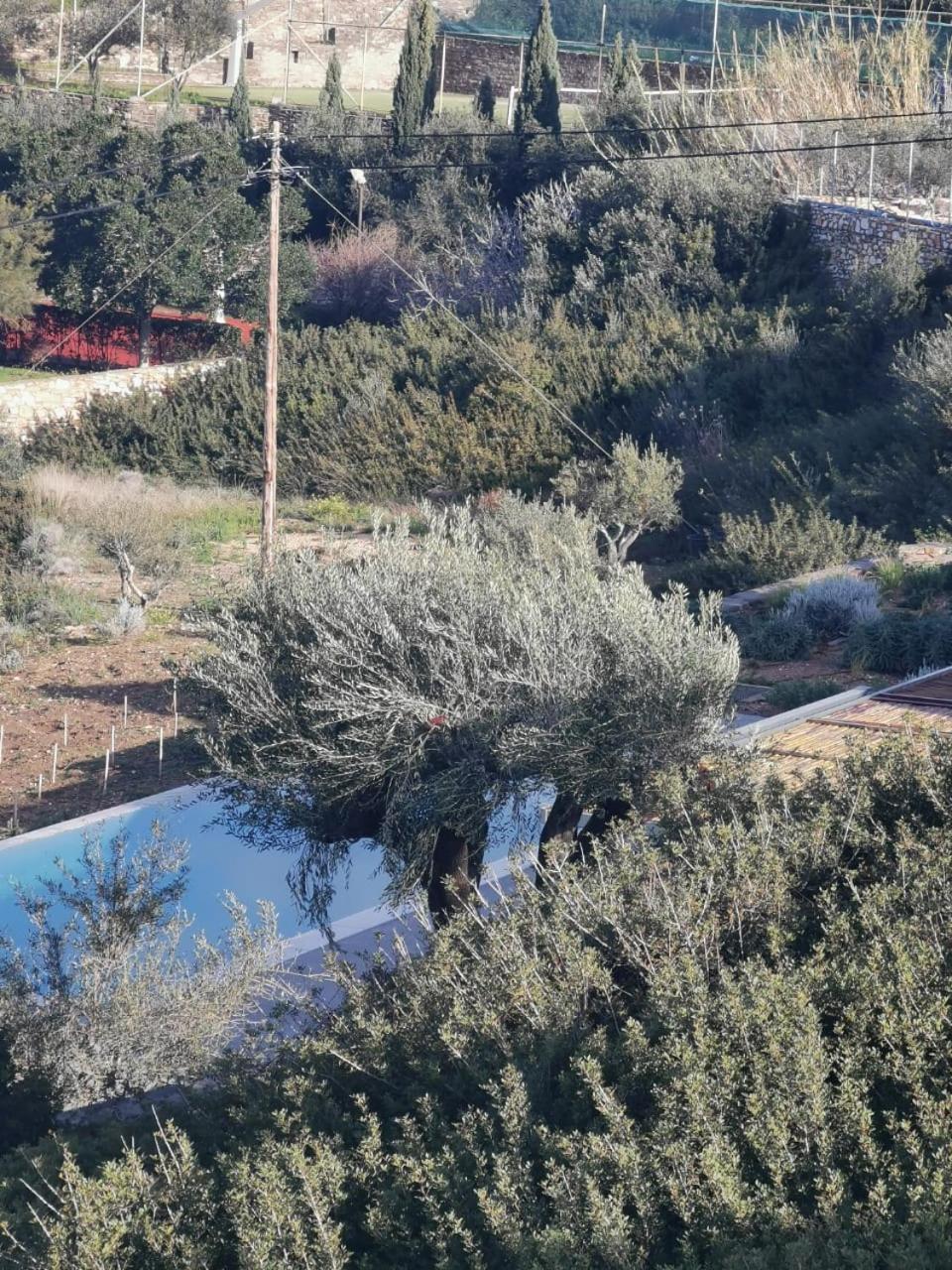Olithos Villas Krotiri Esterno foto